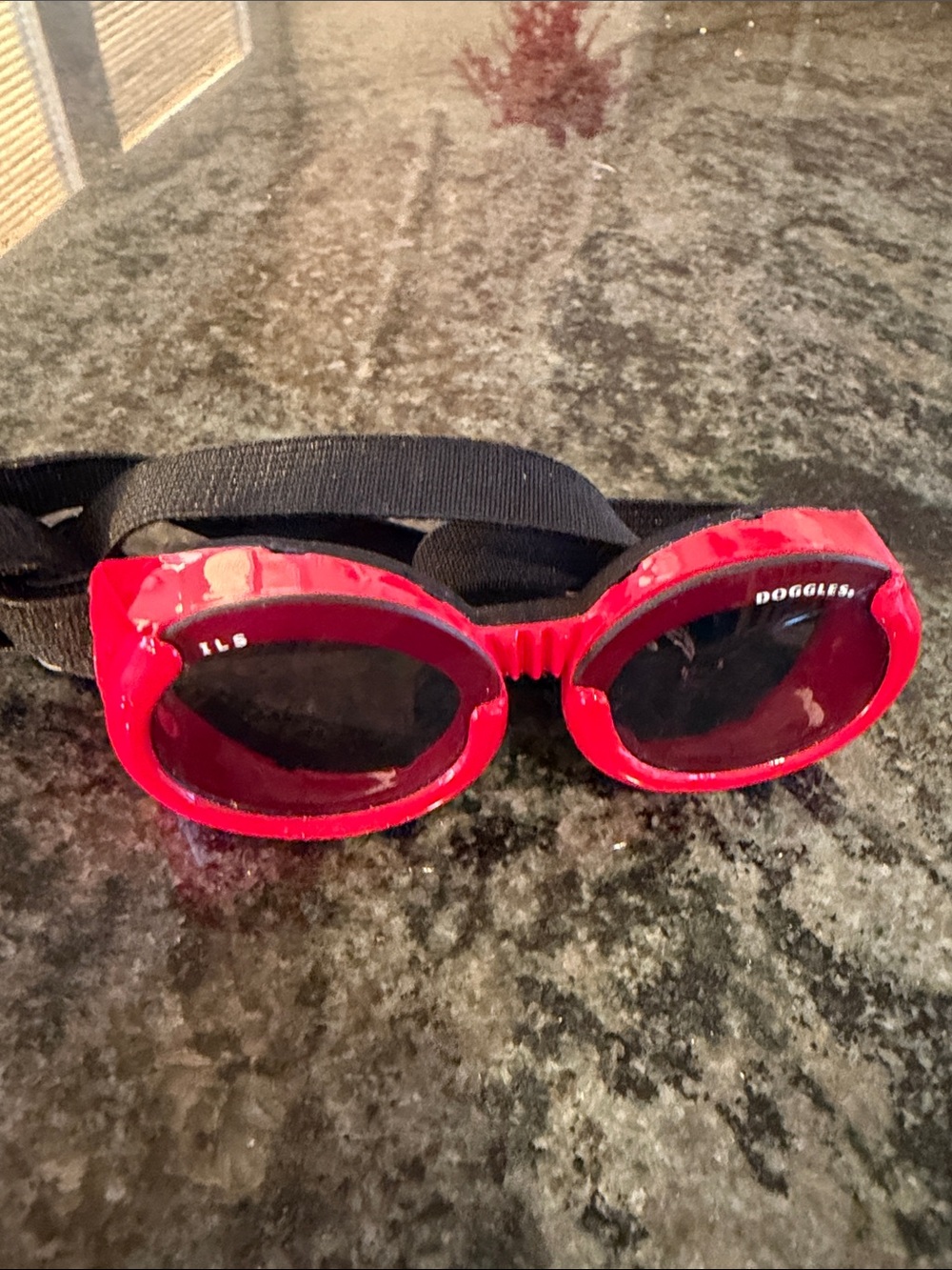 Dog Protective Sunglasses in Bright Red